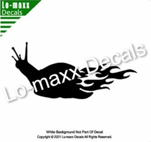 Flaming Snail Car SUV Truck Boat Window Home Decor Design Die Cut Vinyl Decal - Picture 1 of 20