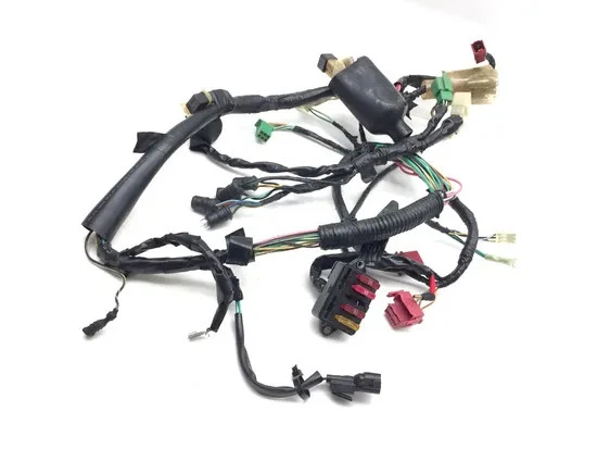 Arnés de cableado del motor principal Honda XR650L 1994 3369 Foto 1 de 3