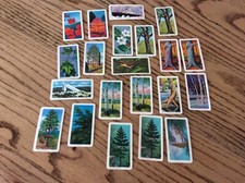 1964-69 21 Trees of North America Brooke Bond Canada Limited Trading Cards