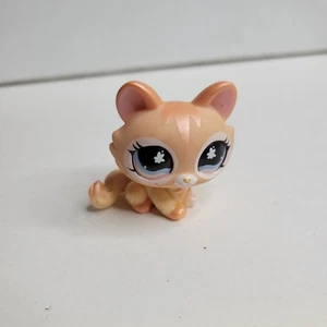 Littlest Pet Shop - LPS - PERLGLANZ SCHIMMERNDE ORANGE KATZE - #870 - GEBRAUCHT - Bild 1 von 4