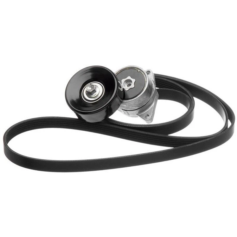 Kit de correa serpentina puertas 90K-38169 para Honda Accord Acura TL CL 97-99,2001-2003 Foto 1 de 1