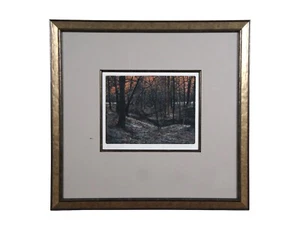 Vintage George Raab Twilight Forset Sunset Landscape Etching 20" - Picture 1 of 12