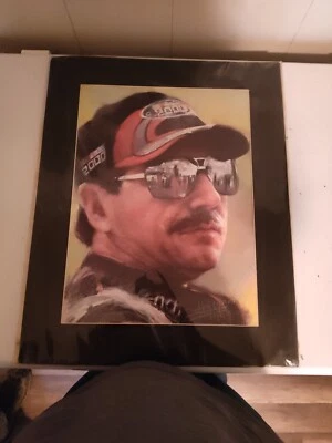 Pinturas de Dale Sr y Dale Jr Foto 1 de 2