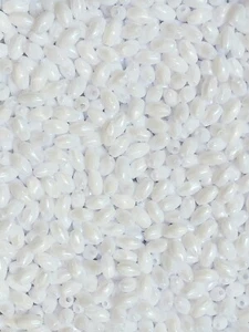 White Pearl 9x6mm Oval Oat Rice Wheat Craft Rosary Beads 500pc Jolly Store - Picture 1 of 1
