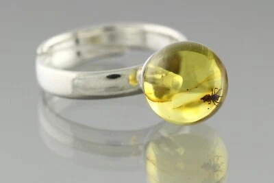 Anillo Ajustable Araña Genuino Ámbar Báltico Cuentas Redondas Plata 2.9g 200506-3 Foto 1 de 4