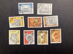 Francobolli Bulgaria 1989 Gatti Domestici Lotto 9x Collezione CTO NG NH - Foto 1 di 1
