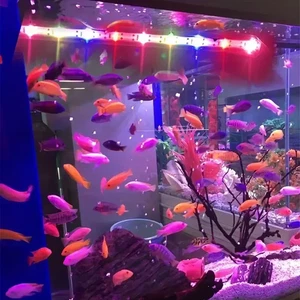 Multi-Color Aquarium LED Light Submersible USB Grow Lamp for Plants UK - Picture 1 of 14