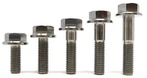 M8 Titanium Hex Head Flange Bolt Fastener (10,15,20,25,30,35,40,45,50,55,60 mm) - Picture 1 of 7