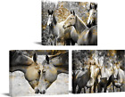 3 Piece Animal Canas Wall Art Black and White Gold Horses Pictures Artwork Moder