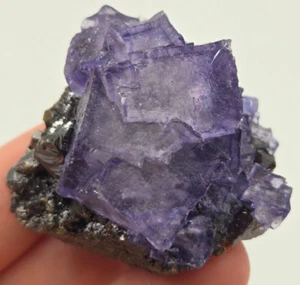 +++ FLUORITE, SPHALERITE ELMWOOD MINE, CARTHAGE SMITH COUNTY, TENNESSEE +++ - Picture 1 of 8