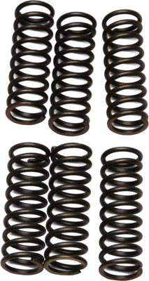 EBC CSK Clutch Spring Kit For Honda RVT1000R RC51 2000-2001 CSK43 - Image 1 of 3