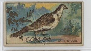 1910 ATC Bird Series T42 Piedmont Sage Grouse 10or - Picture 1 of 3