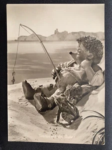 Carte postale hérisson Mecki - Steiff années 50 - rare - Bild 1 von 2