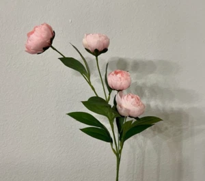 Peony Ashland 3 Stems Pink Peonies Pink Michaels - Picture 1 of 2