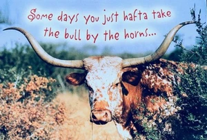 "Some Days You Hafta Take Bull by the Horns Just Do It CAREFULLY!" SUPPORT CARD - Picture 1 of 2