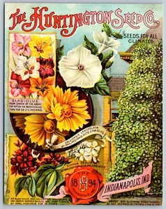 Arte Postal Gladiolus Oxalis Vintage Flor Catálogo Cubierta REPRODUCCIÓN F13 - Imagen 1 de 2