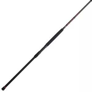 PENN Squadron III 10’. Surf Spinning Fishing Rod; 2 Piece - Picture 1 of 8