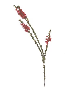 (01158-34059) ARTIFICIAL FLOR TRIPLE INCLINADA FLORE PLUMA VERTICORDIA ROJA - Picture 1 of 1