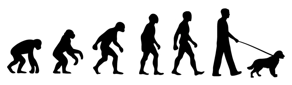 HANDMADE Springer Spaniel Walker 'Evolution' car sticker, vinyl decal