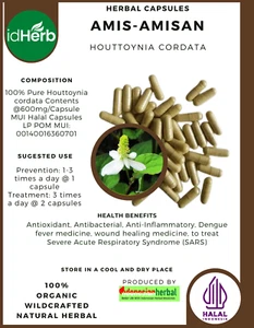 [idHerb] 100-800 Kapseln Chamäleon Pflanze Houttoynia cordata Bio Wildcrafted - Bild 1 von 3