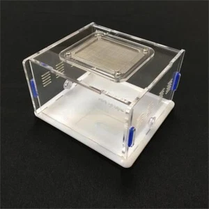 Acrylic Ant Outworld Nest Foraging Feeding Area Farm Housing for Ant Colony New - Picture 1 of 24