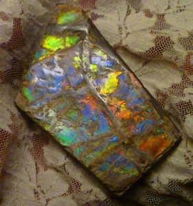 84x52mm Purple, Blue, Green, Red AMMOLITE Ammonite SIX Colors 56.4 grams - Picture 1 of 6