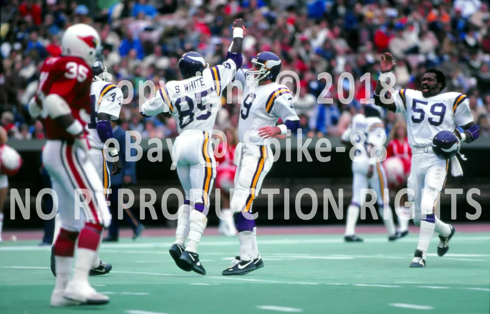 TOMMY KRAMER, SAMMY BLANCO Y MATE BLAIR MINNESOTA VIKINGS AFTER TD PASS 1979  Foto 1 de 1