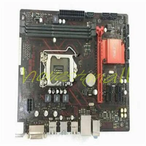 ASUS EX-B85M-V Motherboard Chipset Intel B85 DVI LGA 1150 Used - Bild 1 von 1