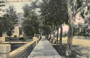 Street Scene, Helena, Montana 1908 Hand-Colored Vintage Postcard - Picture 1 of 1