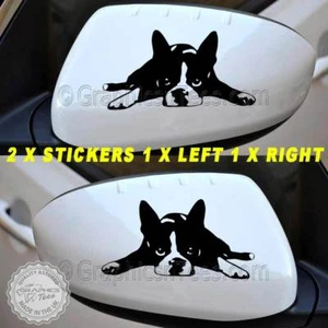 Linda calcomanía gráfica de vinilo con espejo de ala de coche Boston Terrier perro X2 - Imagen 1 de 10