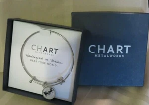 Chart Metalworks Horse & Buggy Bangle Bracelet - Picture 1 of 5