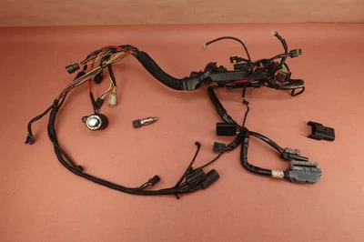 07-12 Harley Davidson Sportster 1200 XL1200N Arnés de cableado principal con llave Foto 1 de 4