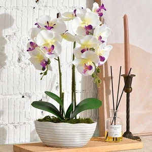 Large Artificial Potted Orchid Plant Silk Flower Arrangement with Ceramics Vase - Picture 1 of 7