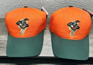 DC SPORTS YOUTH Greensboro Saltamontes Sombrero Ajustable OC Deportes MiLB NUEVO CON ETIQUETAS JUVENIL - Imagen 1 de 5