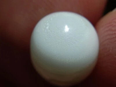 Natural Wild Tridacna White Clam Pearl 6.09ct with Flame - Image 1 of 4