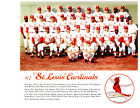 1967 St. Louis Cardinals 8X10 Team Photo World Series Champion  Baseball