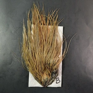 Olive Ginger Light Dun Rooster Saddle Hackle Long Dry Fly Tying Feathers #B - Picture 1 of 8