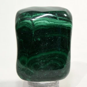 325 kt grüner Malachit Cabochon Kiesel gebändert natürlicher Mineral Edelstein Cab Kongo	 - Bild 1 von 4