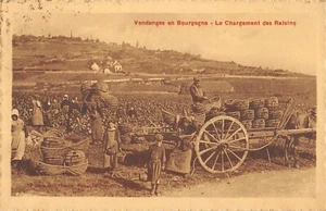 CPA 21 VENDANGES EN BOURGOGNE / LE CHARGEMENT DES RAISINS - Picture 1 of 1