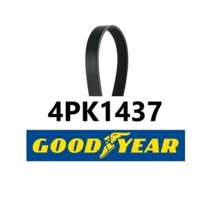 CINGHIA POLY-V DAIHATSU TERIOS 4PK1437 PER 8845887403 - Imagen 1 de 1