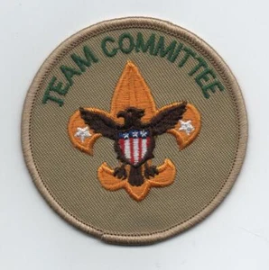 Patch posizione comitato squadra (2002-attuale), supporto ""BSA 2010", nuovo di zecca! - Foto 1 di 1