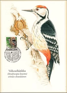 Woodpecker Bird White-Backed Dendrocopos Leucotos Finlan Mint Maxi FDC Card 1993 - Picture 1 of 1