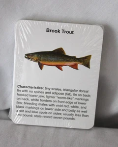 FISH IOWA! Go Fish Card Game, NEW - Picture 1 of 2