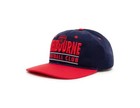 Melbourne Demons W23 Crest Logo Cap Man Cave Fathers Day Gift