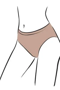 Silky Dance Seamless High Cut Brief - Picture 1 of 4