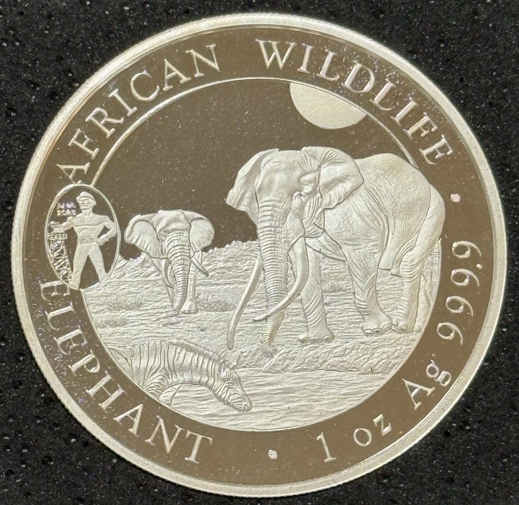 Somali Silver Coins for sale | eBay