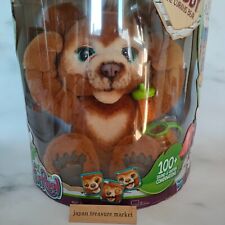 Fur real Love to Play Little Cubby Electric Stuffed Animal Bear Teddy Bear Japan