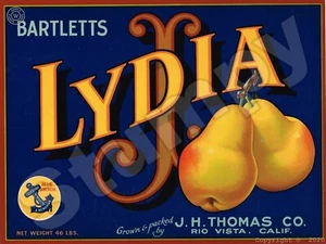 Lydia brand Pears label Metal Sign 9" x 12" - Picture 1 of 1