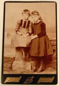 CABINET PHOTO CHILDREN RUGG MINNEAPOLIS MN 1886-1892 - Picture 1 of 2