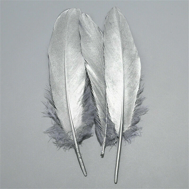 10 x Pluma de Ganso Natural Oro/Plata para Sombrerería Hágalo Usted Mismo Artesanía Disfraz Foto 1 de 1